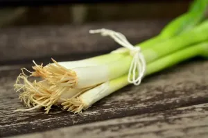 Cegła na ścianę w salonie, kuchni i przedpokoju